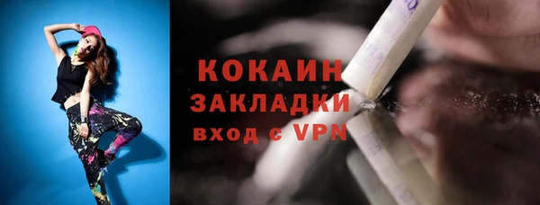 прущие грибы Армянск