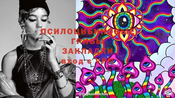 прущие грибы Армянск