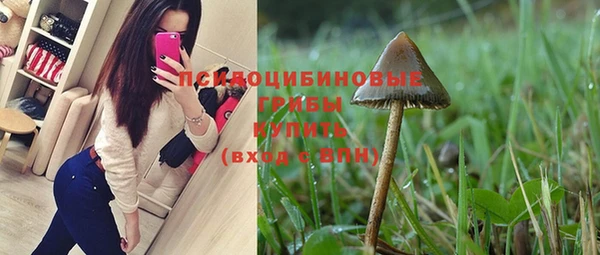 прущие грибы Армянск