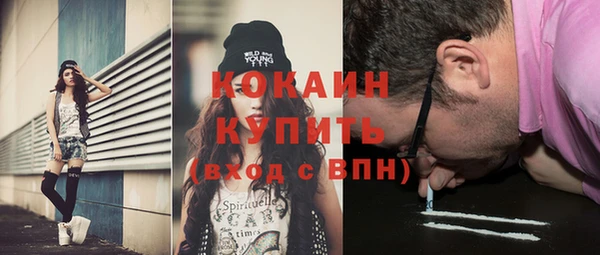 прущие грибы Армянск
