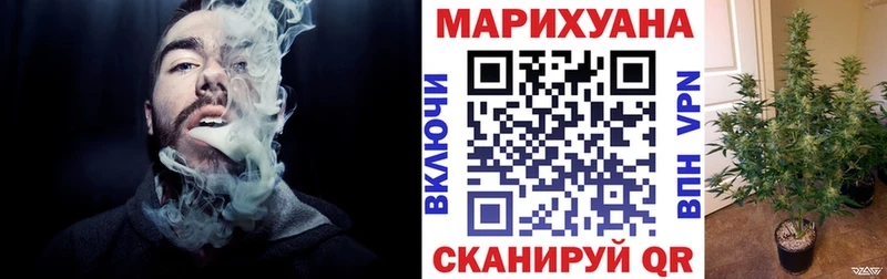Марихуана план  купить наркоту  MEGA зеркало  Ростов 